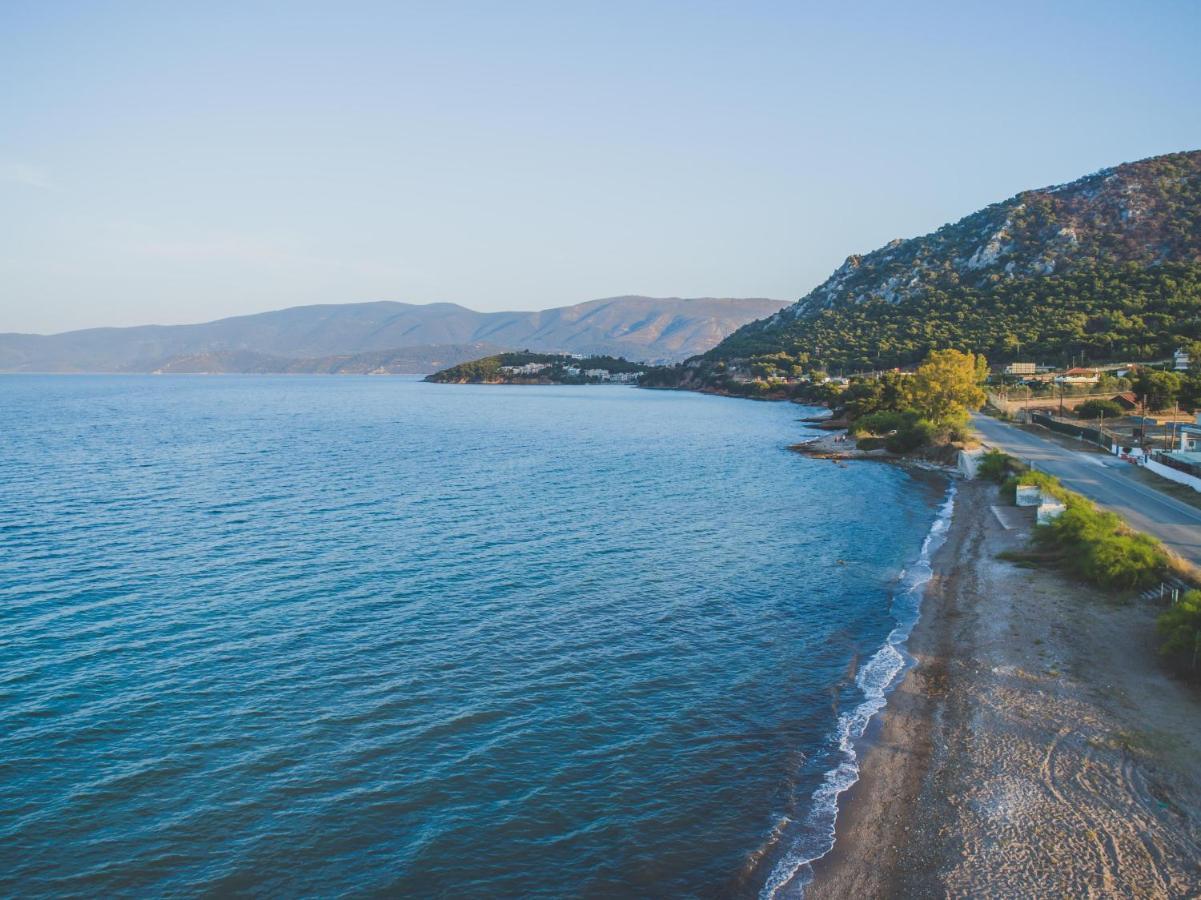 Lemoni Luxury Residence In Front Of The Sea Kechries Екстер'єр фото